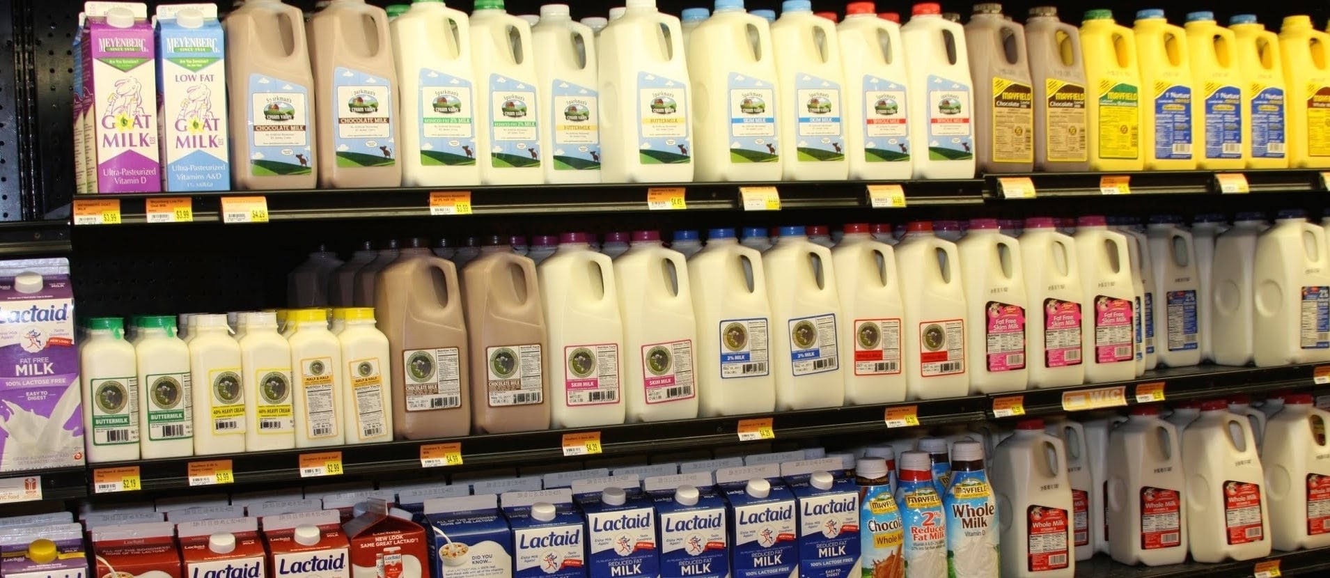 The Acne-Promoting Effects of Milk
