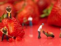 Plant-Based Diets for Improved Mood and Productivity