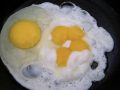 How Our Gut Bacteria Can Use Eggs to Accelerate Cancer
